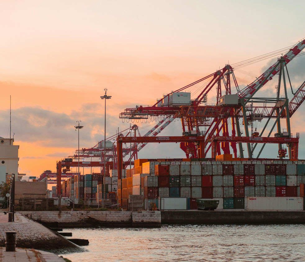 Export & Import Services